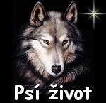 Psí život 3. kapitola